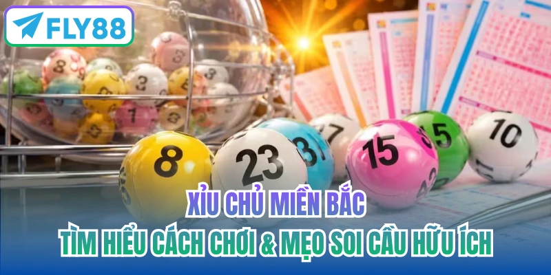 xỉu chủ miền bắc